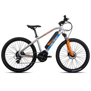 26 pollici MTB Hardtail Ebike