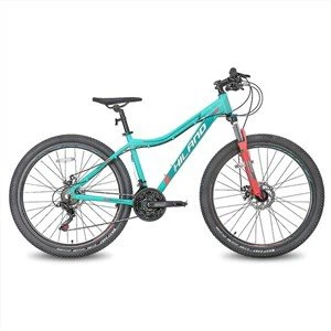 Mountain bike da donna in lega viola da 26 pollici