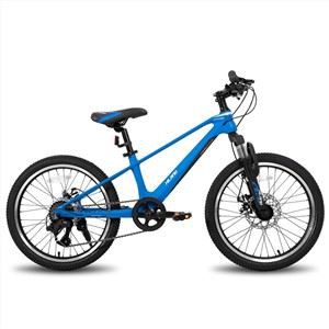 Mountain bike per bambini da 20 pollici in lega di magnesio