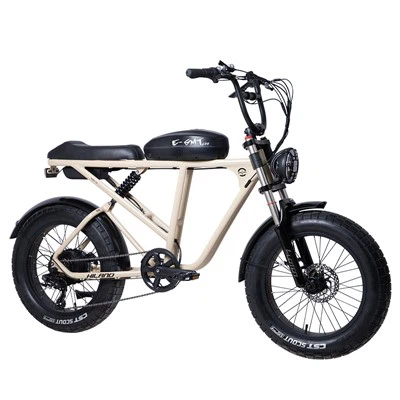 Batteria Samsung Shimano Altus 7S Fat E-Bike