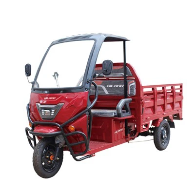 Triciclo elettrico per trasporto merci da 1200 W/2000 W