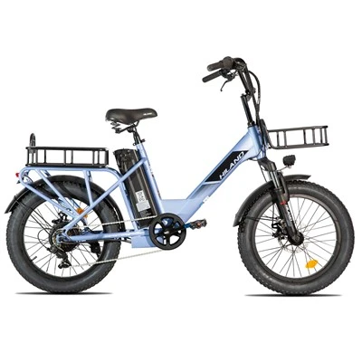 HILAND 20 pollici E Bike 250w motore del mozzo posteriore telaio in lega di alluminio 7 velocità Fat Tire bicicletta da carico elettrica