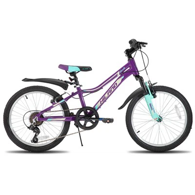 JOYKIE HILAND Freno a disco meccanico da 20/27 pollici Telaio e forcella in lega di alluminio a 18 velocità Mountain bike personalizzabile